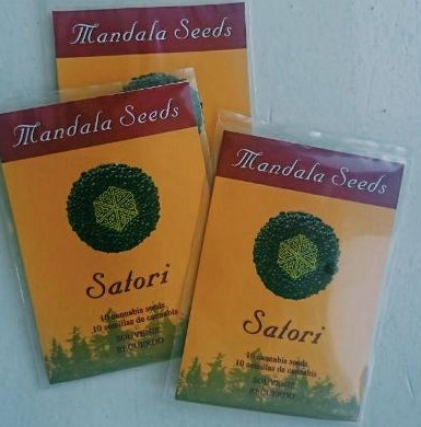 mandala seeds